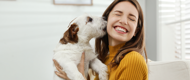 Câlin chien
